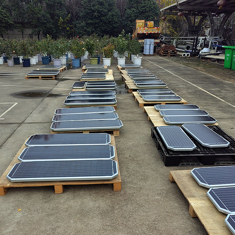 80W Energy Saving Outdoor 30W 40W 60W 100W 120W All In One Solar Power Led Street