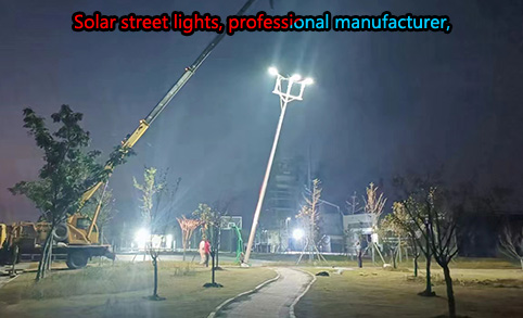 El equipo de construcción de LEADRAY Electric seguirá los planos de construcción de la marca de iluminación solar para exteriores