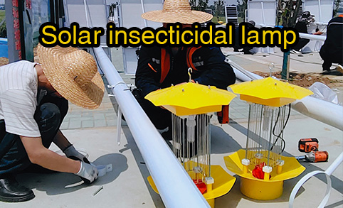 60 lámparas solares de control de plagas instaladas en zonas rurales