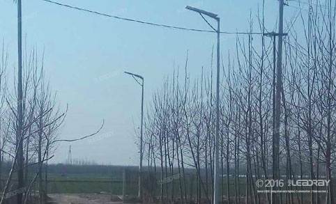 Farola solar independiente de 40 W para uso agrícola