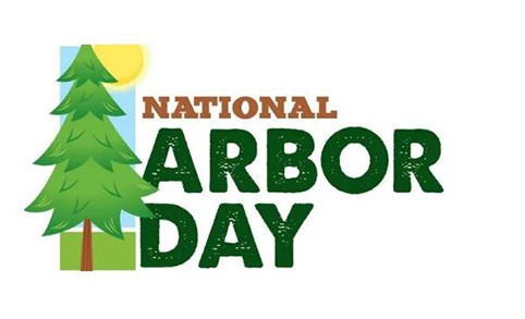 ¡Feliz Día del Árbol!