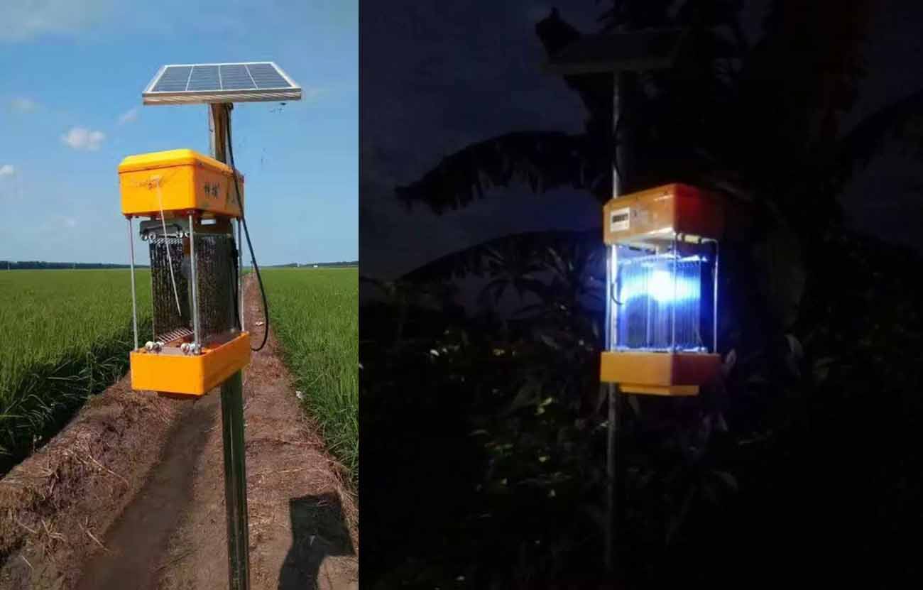 Solar insecticidal lamp Solar insecticidal lamp