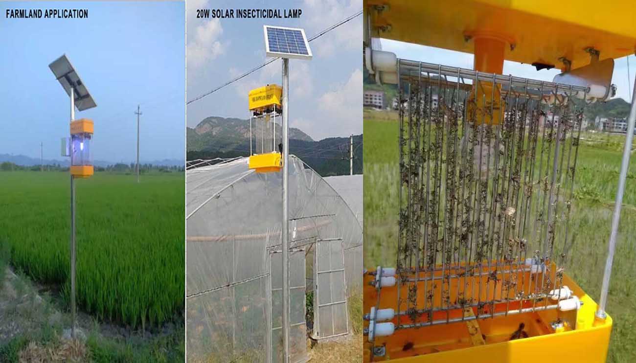 Solar insecticidal lamp Solar insecticidal lamp