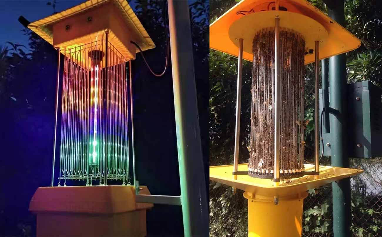 Zapper Lamp Zapper Lamp